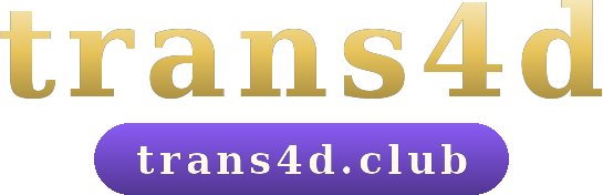 trans4d logo