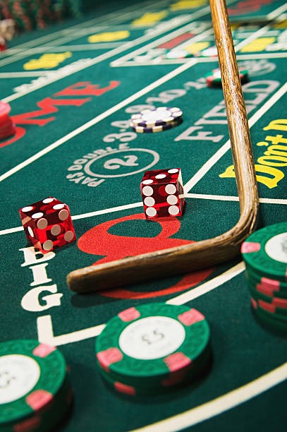 trans4d What Sits Inside Our Casino